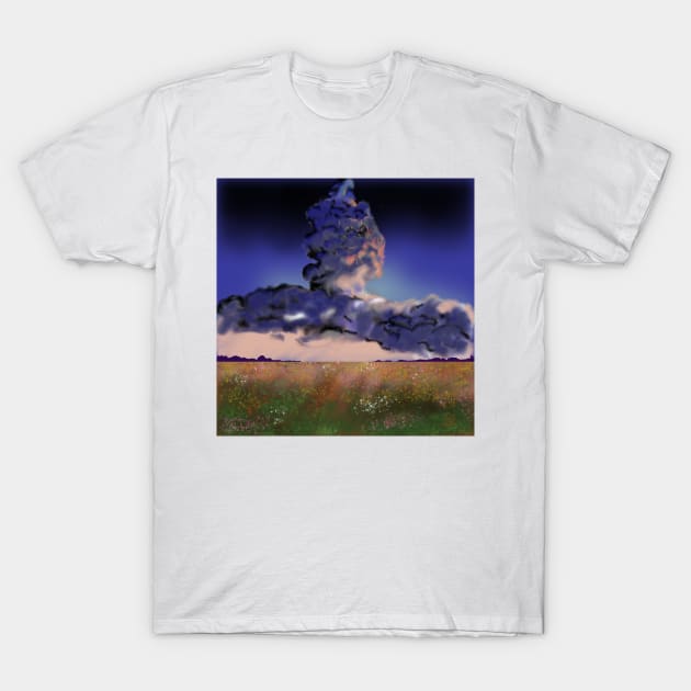 A field of flowers in the middle of rain clouds T-Shirt by White cloth